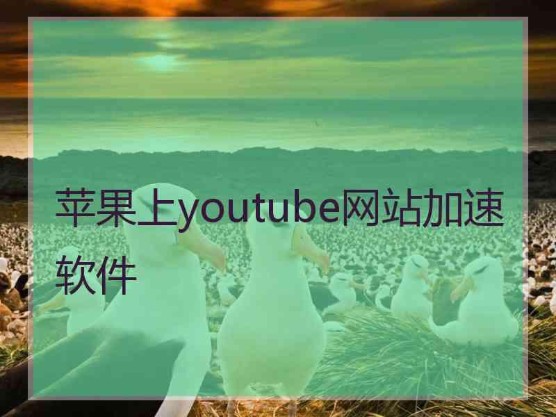 苹果上youtube网站加速软件