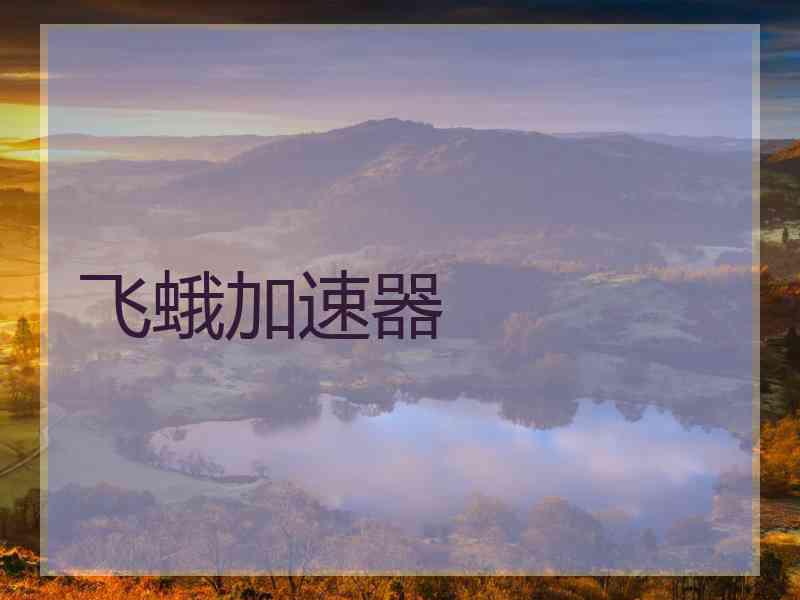 飞蛾加速器