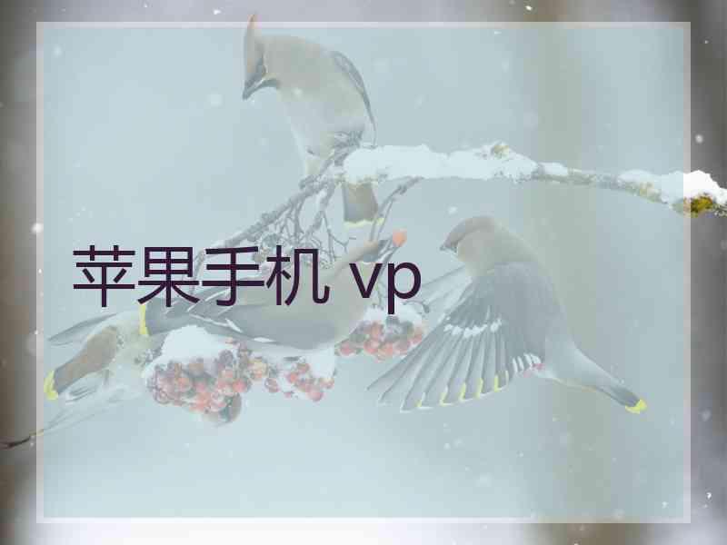 苹果手机 vp