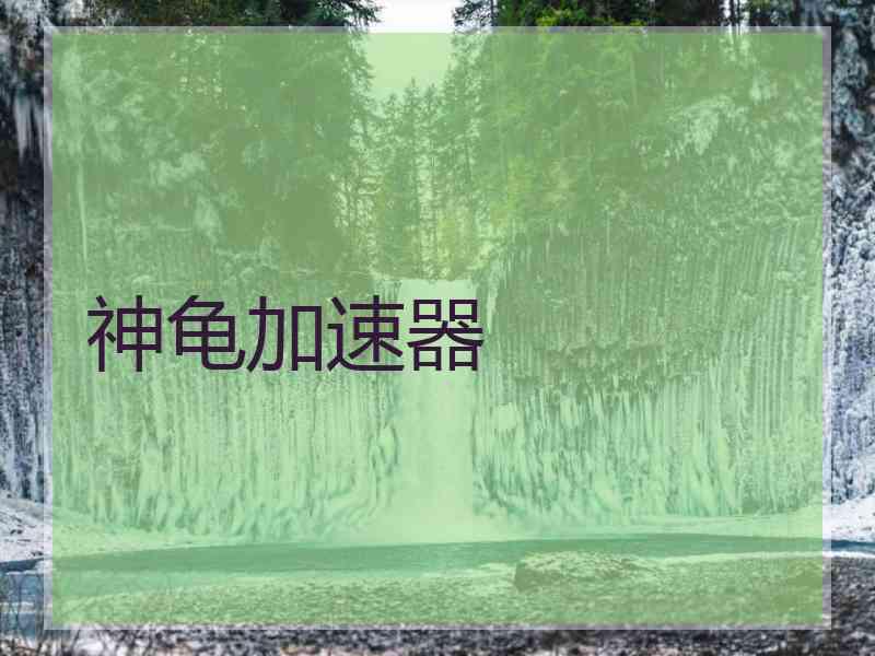 神龟加速器