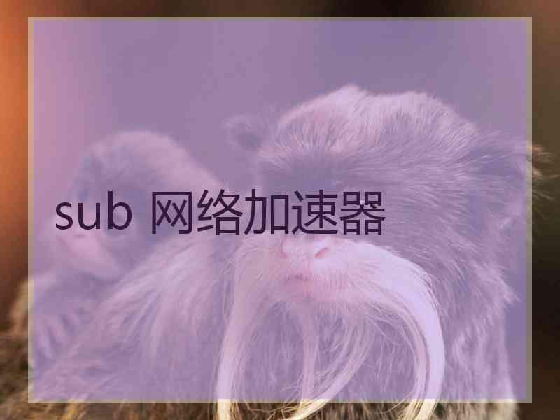 sub 网络加速器